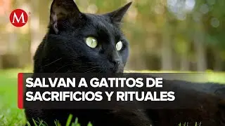 Conoce 