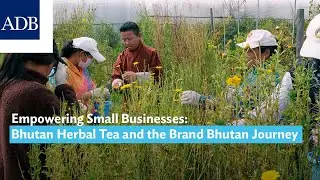 Empowering Small Businesses: Bhutan Herbal Tea and the Brand Bhutan Journey