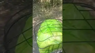 электровелосипед Kugoo kirin v3 max  работяга )))