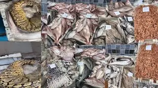 ثمن السمك بالمغرب🐠🦐اليوم الإثنين 26 يناير 2026#المغرب🇲🇦#سوق_المغربPoisson de qualité à prix abord