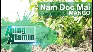 Ating Alamin July 29 2018