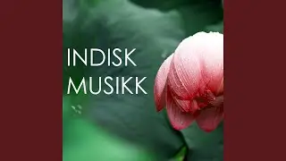 Holistisk Massasje