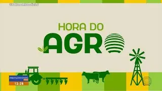 Safra de lichia anima produtores no Oeste Paulista