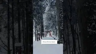 Hidden Gem in Japan 🇯🇵 | Kifune Shrine #japan #japantravel #travel #ytshorts #viral
