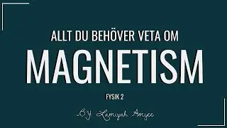 ALLT DU BEHÖVER VETA OM MAGNETISM (FYSIK 2)