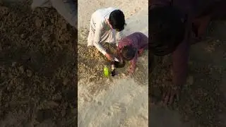 Extracting food and cold drinks 🍸 in desert under sand 🌵 #survival #lifehacks #experiment #foodshort