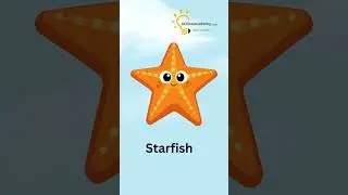 &ldquo;Sea Animals Spelling Practice &ndash; Learn Ocean Creatures Easily&rdquo;