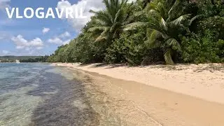 BIENVENUE AU PARADIS ☀️🌴 MARIE-GALANTE I VLOGAVRIL 2025