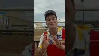 Гонка началась! Вперёд, №6! 🏁🐎