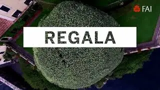 Promo tessera FAI 30