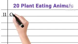 20 Plant Eating Animals | 20 Animals that eat plants