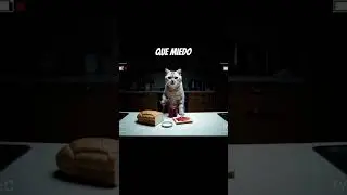 Gato cuando nadie lo ve #terror #miedo