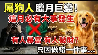 別再傻傻等運氣！生肖狗在「這個月份」必有大事發生，有人暴富有人卻破財？看完你就明白了！#屬狗 #生肖狗運勢 #2026生肖狗運程 #破財 #招財 #風水 #屬狗2026運勢 #生肖狗 #生肖狗運勢