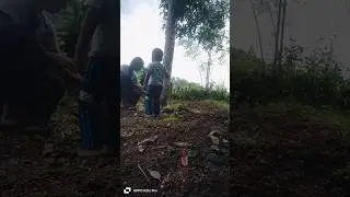 എന്റെ ഒരു moodoff day 😊 #gardening #nature #green #cleaning #clean #cleaningmotivation #song