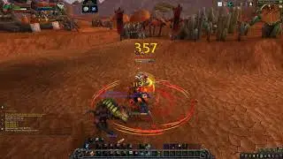 Feral druid pvp BFA beta duels