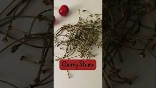 Waste not Heal Lots: Cherry Stems #cherry #foodasmedicine