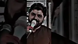 kya imam Hussain a.s ko Shia NY qatil kya | Allama Asif raza alvi best majlis #yaalimadad #youtube