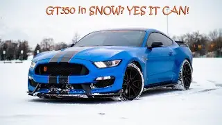 Driving my Mustang GT350 in snow and ice *DANGEROUS*