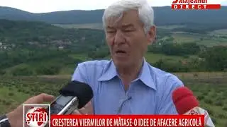 CRESTEREA VIERMILOR DE MATASE O IDEE DE AFACERE AGRICOLA