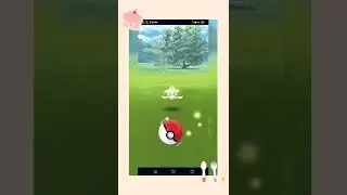 During the Special Research Task JIRACHI encounter