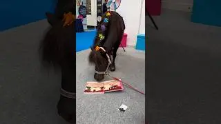 #Therapy Pony #StoryTime