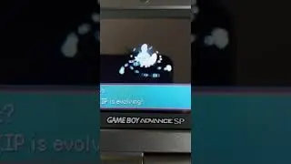Pokemon Emerald: Evolving Shiny Torchic Shiny Mudkip, Shiny Treecko