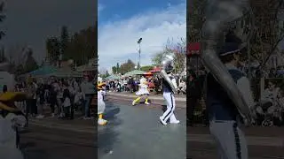Mickey and Minnie 100th Year Cavalcade down Main Street #disneyland #mickey #minnie #disney #castle