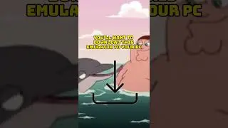 Play Wii & GameCube with Dolphin Emulator
