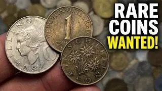 Rare Old Coins From Austria Revealed!