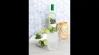 A refreshing summer Cucumber Mint Mojito Recipe #shorts