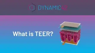 What is TEER? - Transepithelial/transendothelial electrical resistance