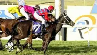 2011 WA Champion Fillies
