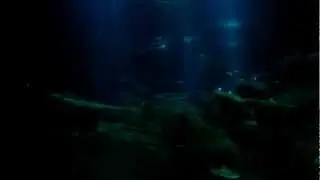 Cineaqua; Paris