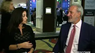 Peter Schiff: Gold, Dollar, Dividend-Paying Global Stocks