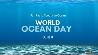 World Ocean Day!