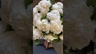 #florist #ecuadorianroses #flowers #boquet #ukraine