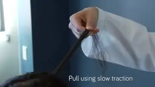 Hair Pull Test