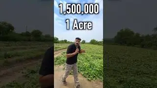 How I vegetableearn 15 lakh per acre