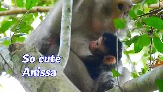 So cute tiny baby Anissa her face the same princess Alba