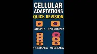 Cellular Adaptations in 5 Minutes | High-Yield Pathology Revision (MBBS, USMLE, NEETPG)