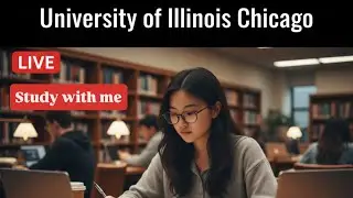 Study With Me in Chicago Real Time📚 | No Music, Quiet Library Session | Chemical Engineering student