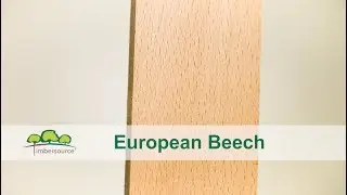 Древесина европейского бука | Timbersource