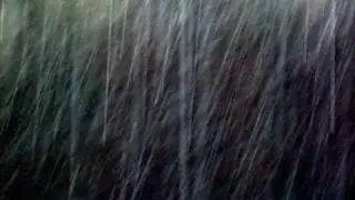 PAUL WELLER-YOU DO SOMETHING TO ME(lyrics)