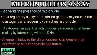 Micronucleus Assay | In Vitro Micronucleus Assay | In Vivo Micronucleus Assay |