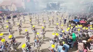 Negreria de Vicco 2026