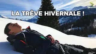 LA TRÊVE HIVERNALE