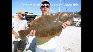 Cape May Reef 8 9 17
