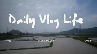 Quiet Rural Vietnam 🌿 | Rice Fields, Nature Sounds & Daily Vlog Life