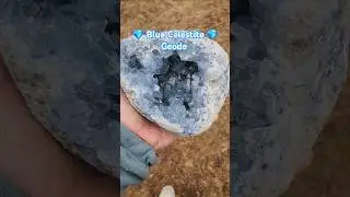 Huge Celestite geode!!! #celestite #crystals #naturalamethyst #rocks #rockhounding #gemstone #gems