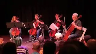 Jawbreaker on cello Accident Prone
